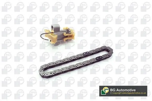 Eksantrik Zincir Gergi Tk. Focus Connect Puma Ecosport Kuga 1.5 Tdci